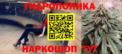 ГАЛЛЮЦИНОГЕННЫЕ ГРИБЫ Кунгур