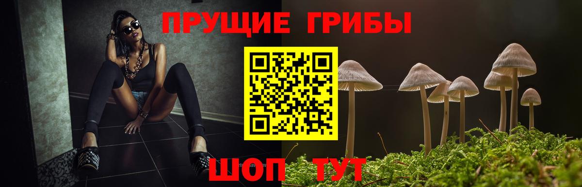 Псилоцибиновые грибы MAGIC MUSHROOMS  Галлюциногенные грибы MAGIC MUSHROOMS  Вход с VPN  Донецк 